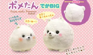 ポメたん新シリーズ♪の画像