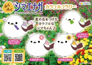 ふくふくシマエナガカラフルフラワーの画像