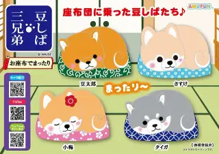 豆しば三兄弟お座布でまったりの画像