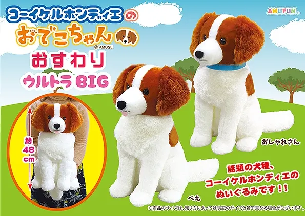コーイケルホンディエのおでこちゃんおすわり ラインナップ 1