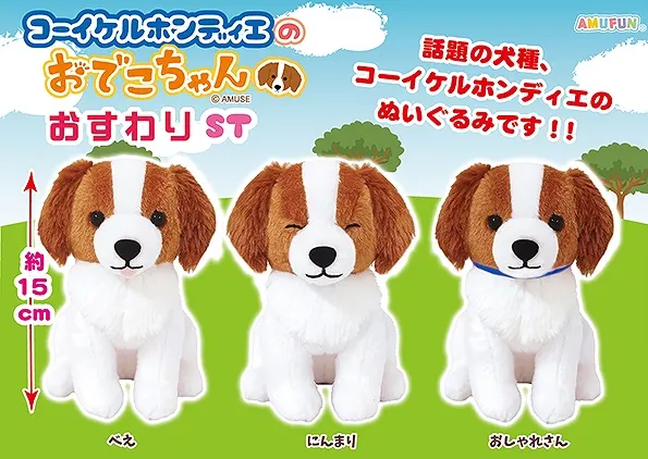 コーイケルホンディエのおでこちゃんおすわり ラインナップ 3