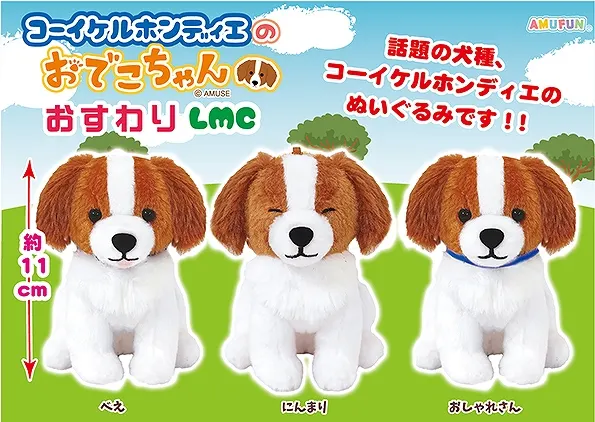 コーイケルホンディエのおでこちゃんおすわり ラインナップ 4