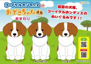 コーイケルホンディエのおでこちゃんおすわりの画像