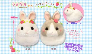 うさだまちゃんいちごパーティの画像