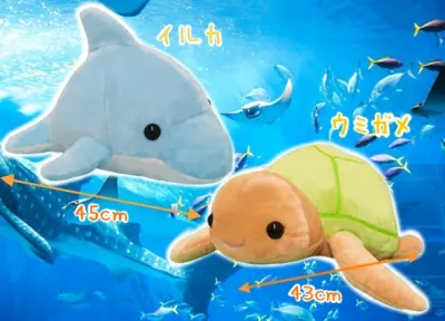 ウキウキ水族館BIG、もちふわ！どでかたい焼きと雑貨盛りだくさん！ ラインナップ 2