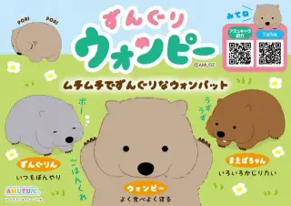 ずんぐりウォンピーの画像