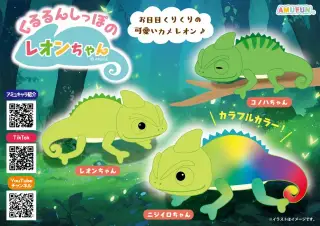 くるるんしっぽのレオンちゃんの画像