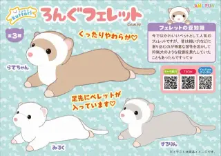 くったりろんぐフェレットの画像