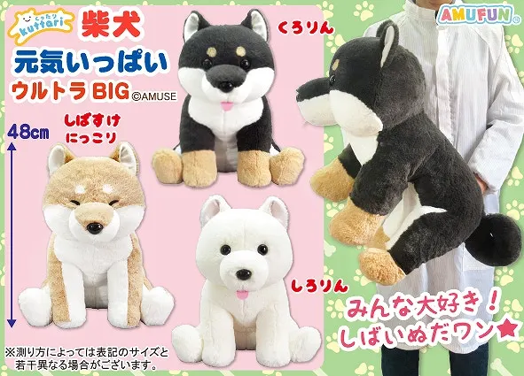 くったり柴犬元気いっぱい ラインナップ 1