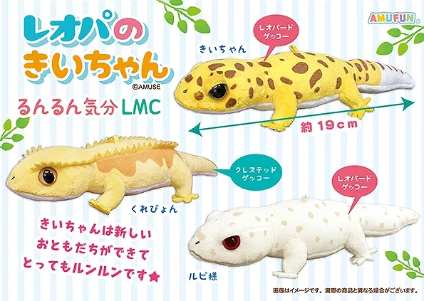 レオパのきいちゃんるんるん気分 ラインナップ 4