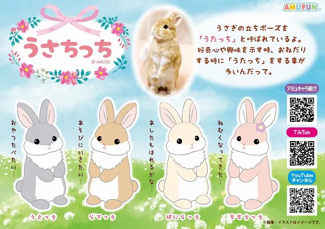 うさちっちの台紙