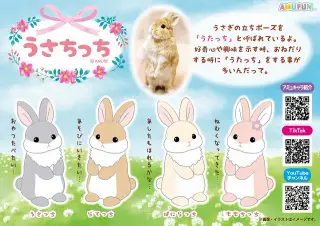 うさちっちの画像