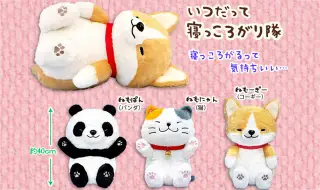 いつだって寝っころがり隊の画像