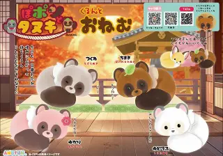 ぽポンとタヌキくるんとおねむの画像