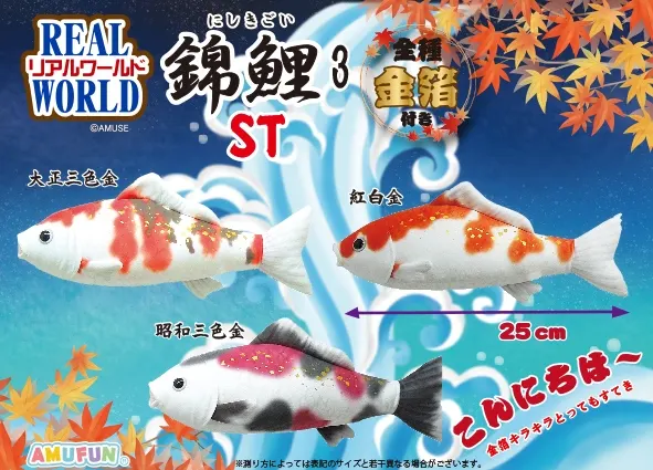 リアルワールド錦鯉3 ラインナップ 4