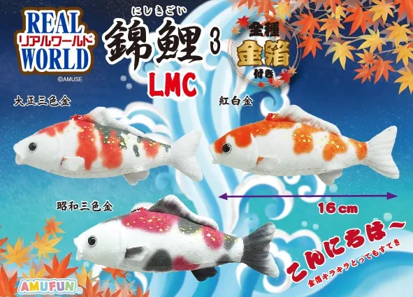 リアルワールド錦鯉3 ラインナップ 5
