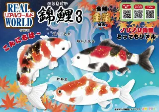 リアルワールド錦鯉3の画像