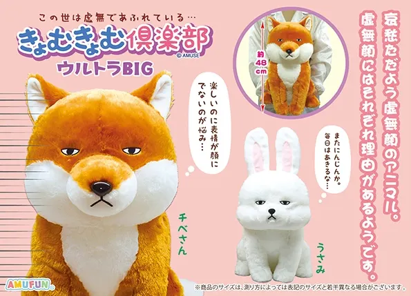 きょむきょむ倶楽部 ラインナップ 1