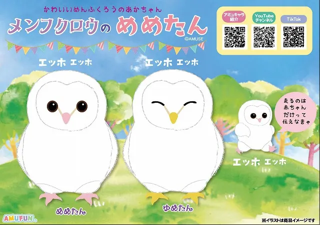 メンフクロウのめめたんの台紙