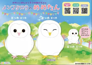 メンフクロウのめめたんの画像