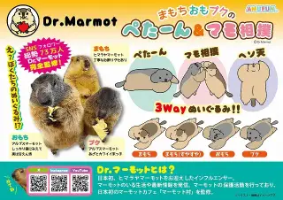 Dｒ.マーモットまもちおもプクのぺたーん＆マモ相撲の画像