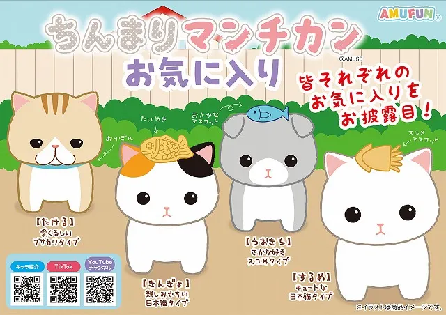 ちんまりマンチカンお気に入りの台紙