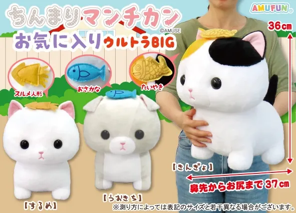 ちんまりマンチカンお気に入り ラインナップ 1
