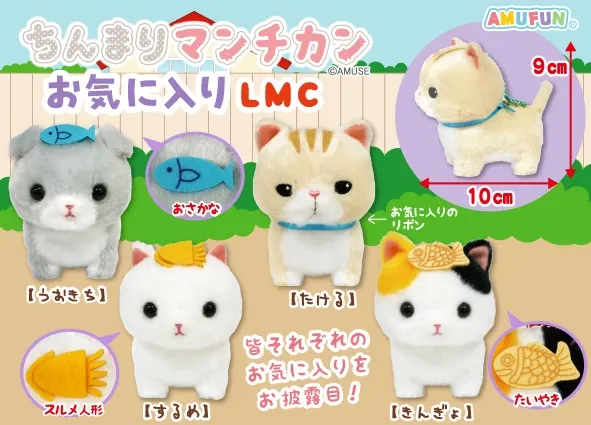 ちんまりマンチカンお気に入り ラインナップ 4