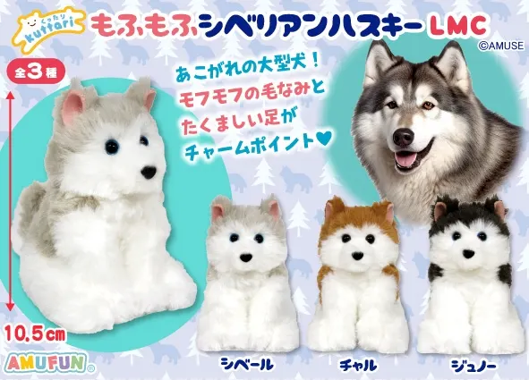 くったりもふもふシベリアンハスキー ラインナップ 4