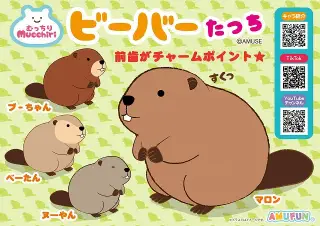 むっちりビーバーたっちの画像