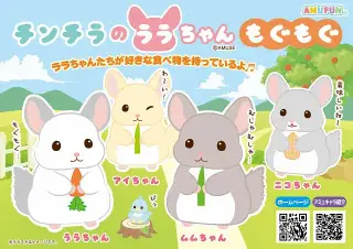 チンチラのララちゃんもぐもぐの画像