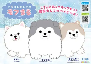 ころりんわんこのモフまるの画像