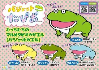 バジェットたぴおの画像