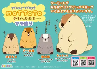 マーモットのもっとっとマモ座りの画像