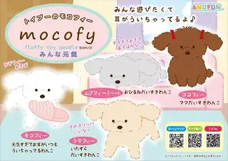 トイプーのモコフィーみんな元気の画像
