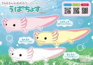 うぱちょすの画像