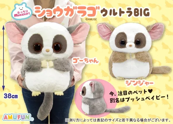 むっちりショウガラゴ ラインナップ 2