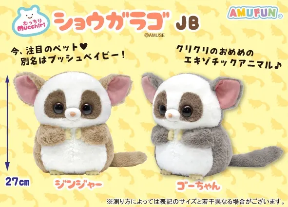 むっちりショウガラゴ ラインナップ 3