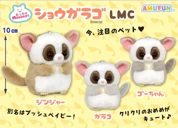 むっちりショウガラゴ ラインナップ 4