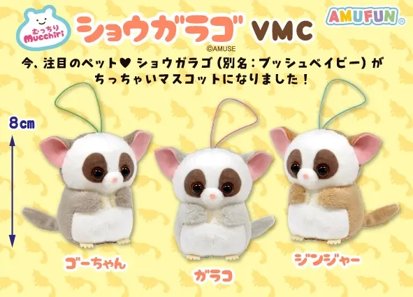 むっちりショウガラゴ ラインナップ 5