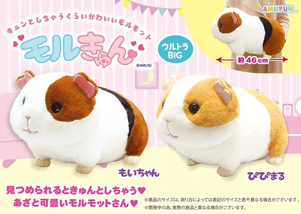 モルきゅん ラインナップ 2