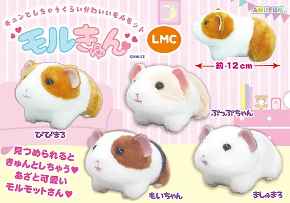 モルきゅん ラインナップ 4