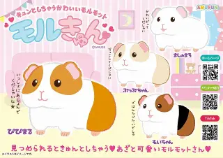 モルきゅんの画像