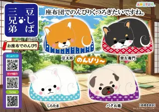 豆しば三兄弟お座布でのんびりの画像