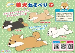 くったり柴犬ねそべりの画像