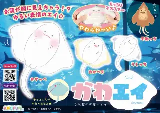 かわエイの画像