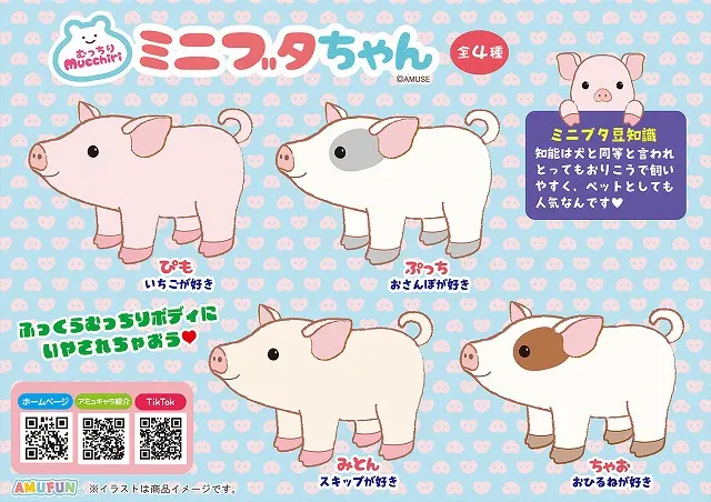 むっちりミニブタちゃん(画像)