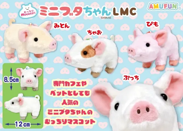 むっちりミニブタちゃん ラインナップ 4
