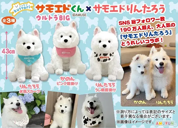 くったりサモエドくん×サモエドりんたろう ラインナップ 2