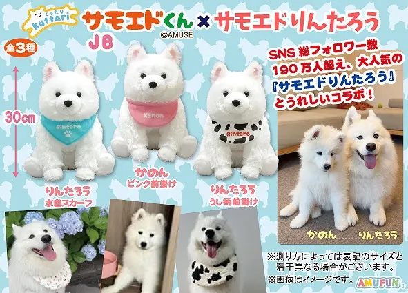 くったりサモエドくん×サモエドりんたろう ラインナップ 3